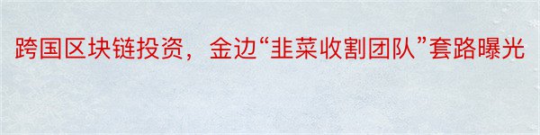 跨国区块链投资，金边“韭菜收割团队”套路曝光