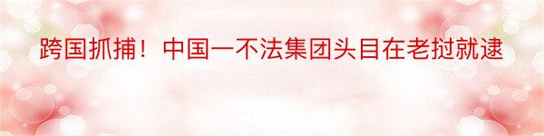 跨国抓捕！中国一不法集团头目在老挝就逮