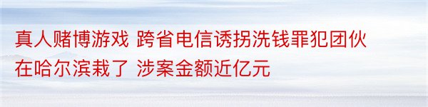 真人赌博游戏 跨省电信诱拐洗钱罪犯团伙在哈尔滨栽了 涉案金额近亿元