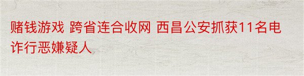 赌钱游戏 跨省连合收网 西昌公安抓获11名电诈行恶嫌疑人