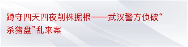 蹲守四天四夜削株掘根——武汉警方侦破“杀猪盘”乱来案