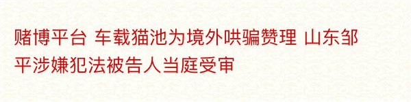 赌博平台 车载猫池为境外哄骗赞理 山东邹平涉嫌犯法被告人当庭受审