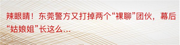 辣眼睛！东莞警方又打掉两个“裸聊”团伙，幕后“姑娘姐”长这么…