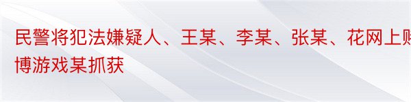 民警将犯法嫌疑人、王某、李某、张某、花网上赌博游戏某抓获