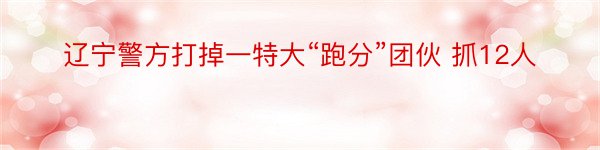 辽宁警方打掉一特大“跑分”团伙 抓12人