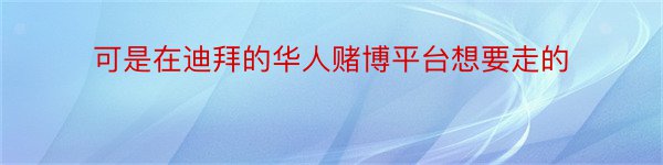 可是在迪拜的华人赌博平台想要走的