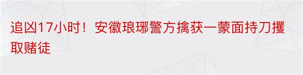 追凶17小时！安徽琅琊警方擒获一蒙面持刀攫取赌徒