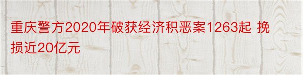 重庆警方2020年破获经济积恶案1263起 挽损近20亿元