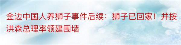 金边中国人养狮子事件后续：狮子已回家！并按洪森总理率领建围墙