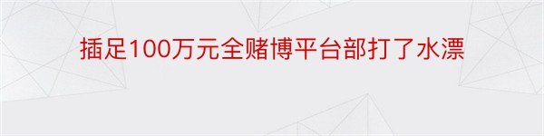 插足100万元全赌博平台部打了水漂