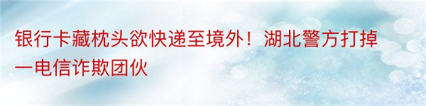 银行卡藏枕头欲快递至境外！湖北警方打掉一电信诈欺团伙