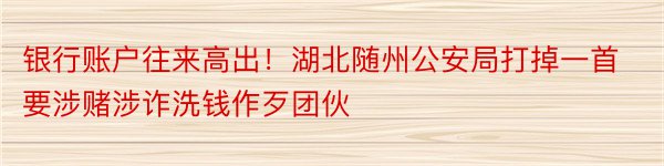 银行账户往来高出！湖北随州公安局打掉一首要涉赌涉诈洗钱作歹团伙