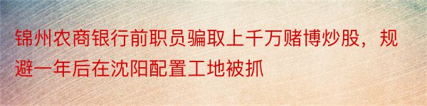 锦州农商银行前职员骗取上千万赌博炒股，规避一年后在沈阳配置工地被抓