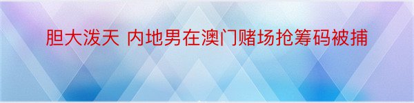 胆大泼天 内地男在澳门赌场抢筹码被捕