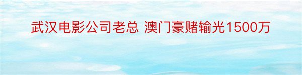 武汉电影公司老总 澳门豪赌输光1500万