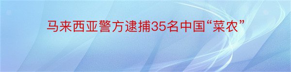 马来西亚警方逮捕35名中国“菜农”