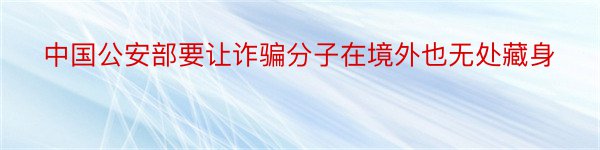 中国公安部要让诈骗分子在境外也无处藏身