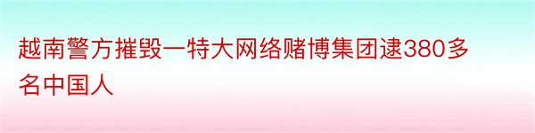 越南警方摧毁一特大网络赌博集团逮380多名中国人