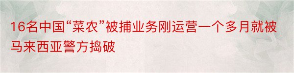 16名中国“菜农”被捕业务刚运营一个多月就被马来西亚警方捣破