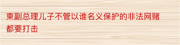 柬副总理儿子不管以谁名义保护的非法网赌都要打击