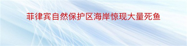 菲律宾自然保护区海岸惊现大量死鱼