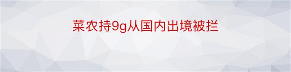 菜农持9g从国内出境被拦