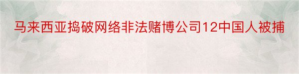 马来西亚捣破网络非法赌博公司12中国人被捕