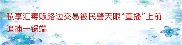 私享汇毒贩路边交易被民警天眼“直播”上前追捕一锅端