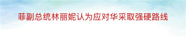 菲副总统林丽妮认为应对华采取强硬路线