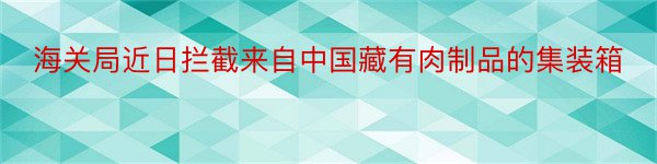 海关局近日拦截来自中国藏有肉制品的集装箱