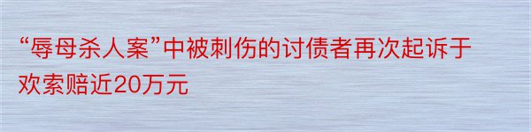 “辱母杀人案”中被刺伤的讨债者再次起诉于欢索赔近20万元