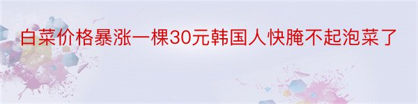 白菜价格暴涨一棵30元韩国人快腌不起泡菜了