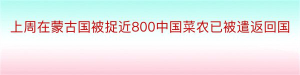 上周在蒙古国被捉近800中国菜农已被遣返回国