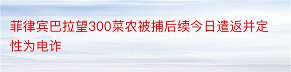 菲律宾巴拉望300菜农被捕后续今日遣返并定性为电诈