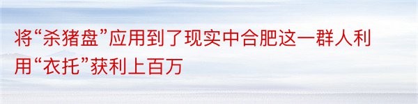 将“杀猪盘”应用到了现实中合肥这一群人利用“衣托”获利上百万