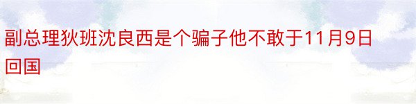 副总理狄班沈良西是个骗子他不敢于11月9日回国