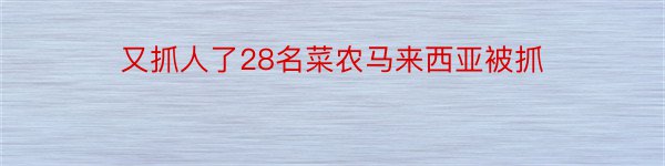 又抓人了28名菜农马来西亚被抓