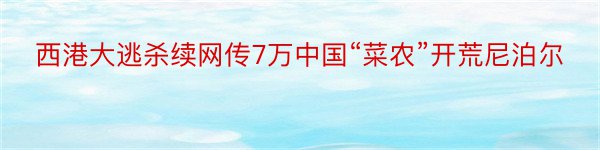 西港大逃杀续网传7万中国“菜农”开荒尼泊尔