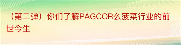 （第二弹）你们了解PAGCOR么菠菜行业的前世今生