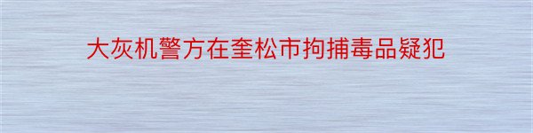 大灰机警方在奎松市拘捕毒品疑犯