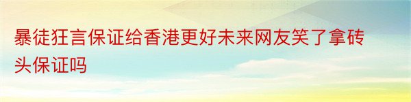 暴徒狂言保证给香港更好未来网友笑了拿砖头保证吗