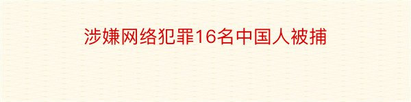 涉嫌网络犯罪16名中国人被捕