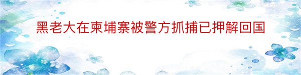 黑老大在柬埔寨被警方抓捕已押解回国