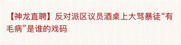 【神龙直聘】反对派区议员酒桌上大骂暴徒“有毛病”是谁的戏码