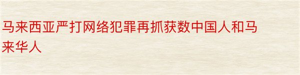 马来西亚严打网络犯罪再抓获数中国人和马来华人