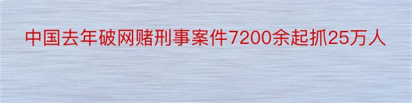 中国去年破网赌刑事案件7200余起抓25万人