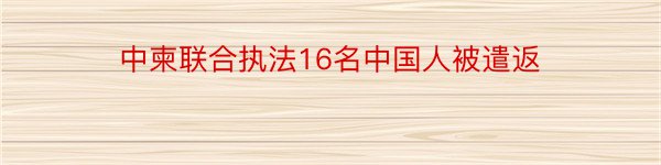 中柬联合执法16名中国人被遣返