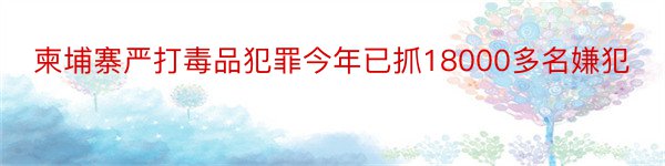 柬埔寨严打毒品犯罪今年已抓18000多名嫌犯