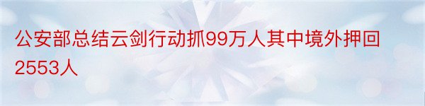 公安部总结云剑行动抓99万人其中境外押回2553人