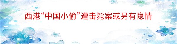 西港“中国小偷”遭击毙案或另有隐情